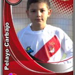 Pelayo Carbajo